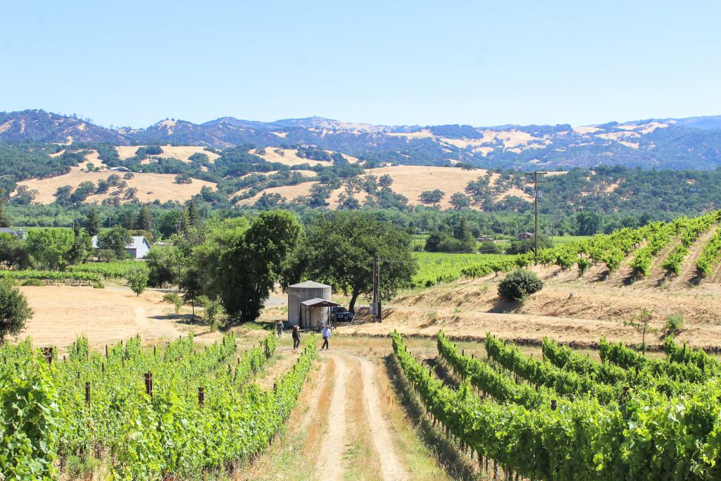 The Best Way to Experience Alexander Valley